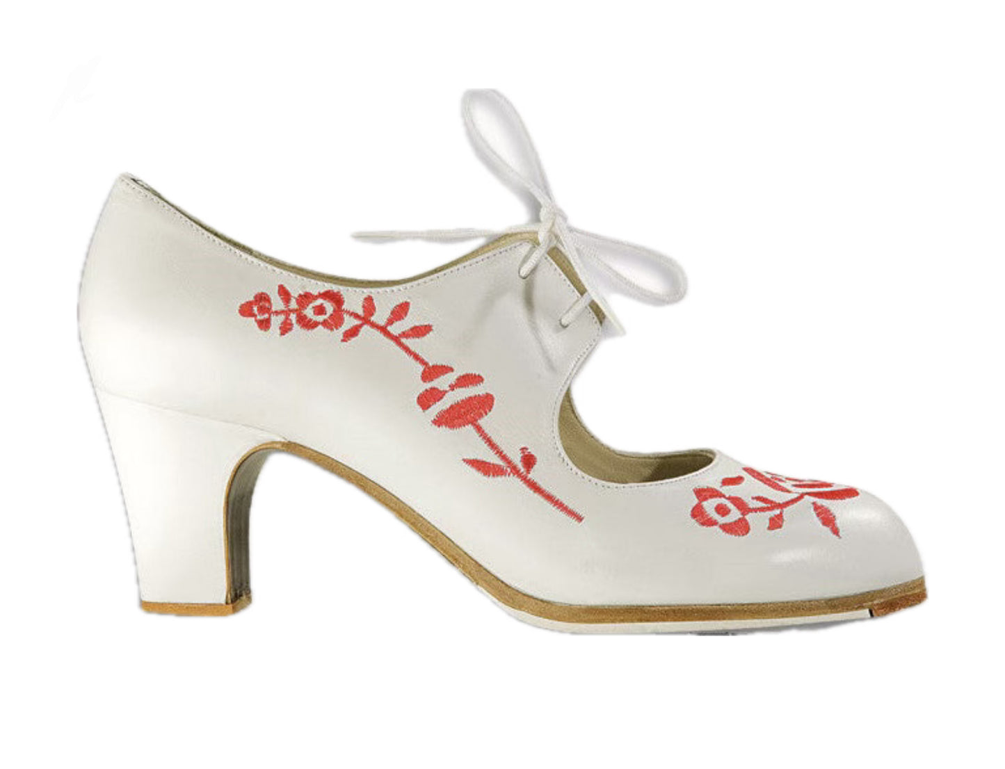 Zapato de flamenco M18 BORDADO CORDONERA de Begoña Cervera